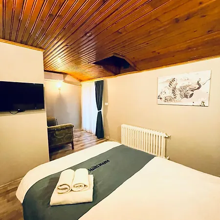 Puffin Boutique - Hostel *