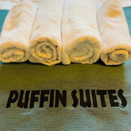 Hostel Puffin Boutique -