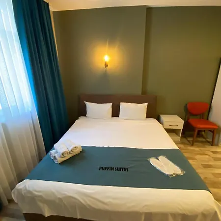 Hostel Puffin &