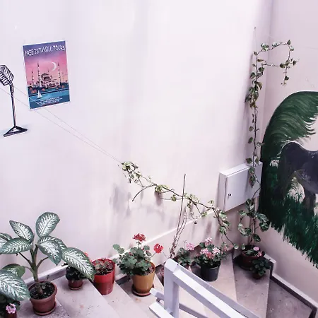 Puffin Boutique - Hostel *