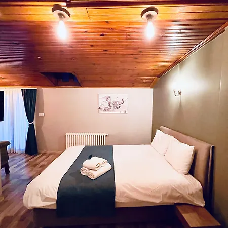 Puffin Boutique - Hostel