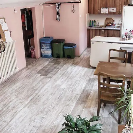 Puffin Boutique - Hostel