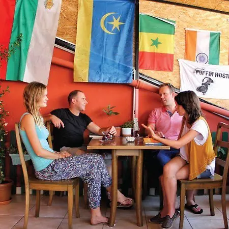 Hostel Puffin Boutique - *