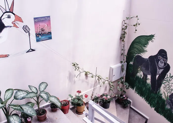 Puffin Boutique - Auberge de jeunesse *