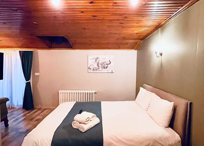 Puffin Boutique - Auberge de jeunesse