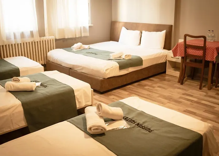 Auberge de jeunesse Puffin Boutique - Istambul