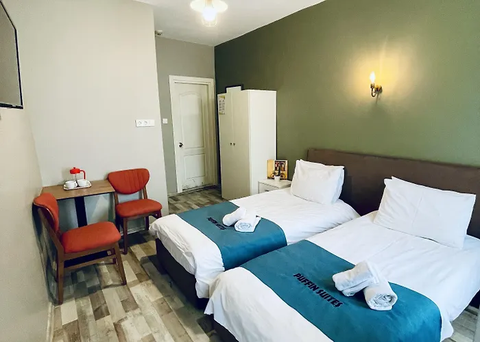 Auberge de jeunesse Puffin Boutique - Istambul